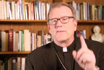 bishop barron fatima